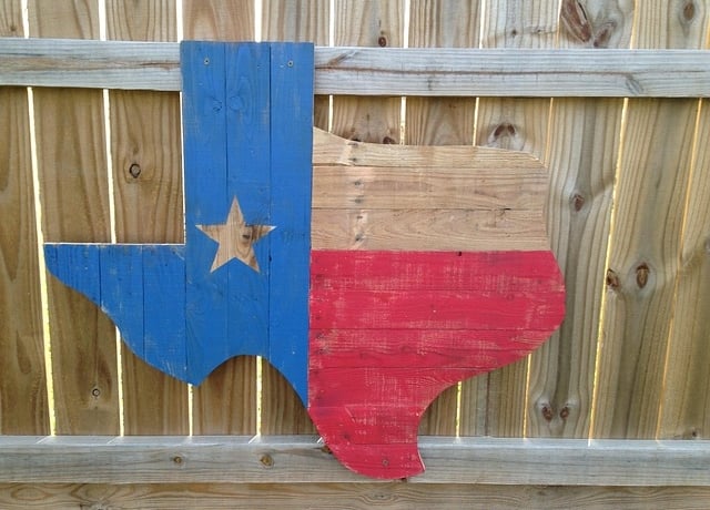 The 5 Best Franchises to Own in Texas in 2025