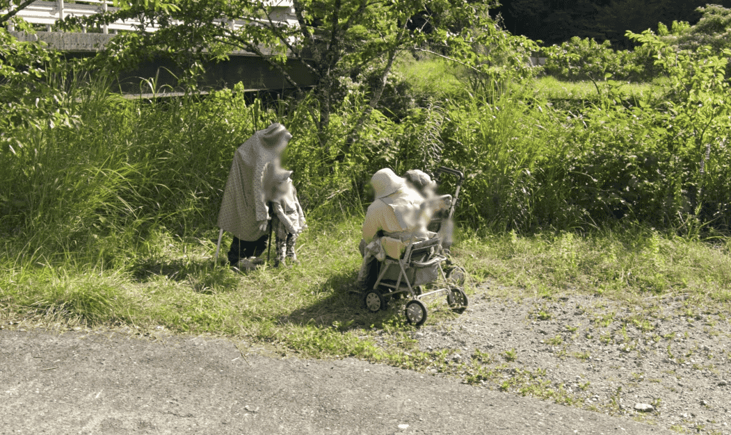 Nagoro -Scarecrow- Village, Japan